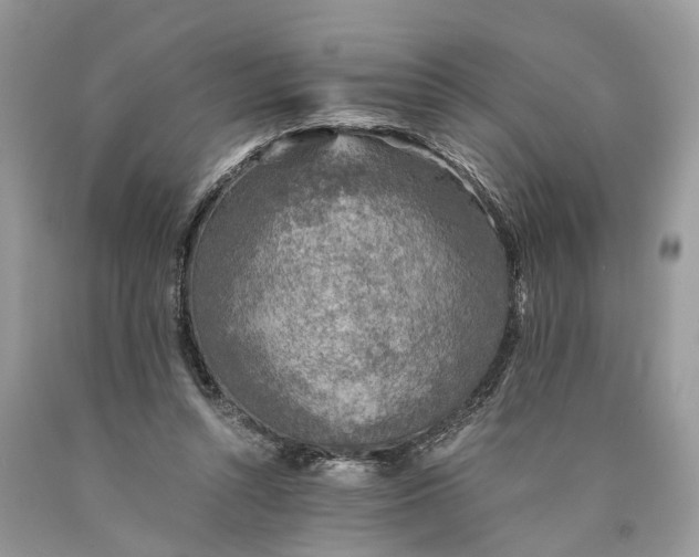 X0000089920352200707201823