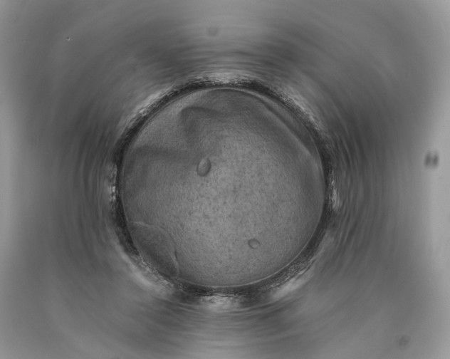 X0000089920356200707201823