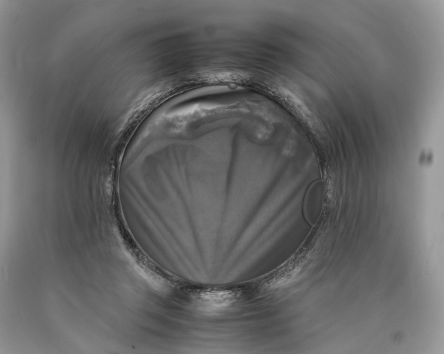 X0000089920357200707201823