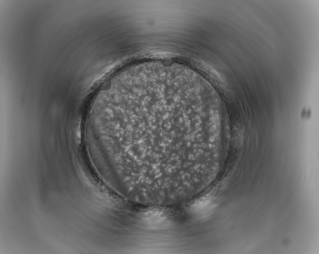 X0000089920358200707201823