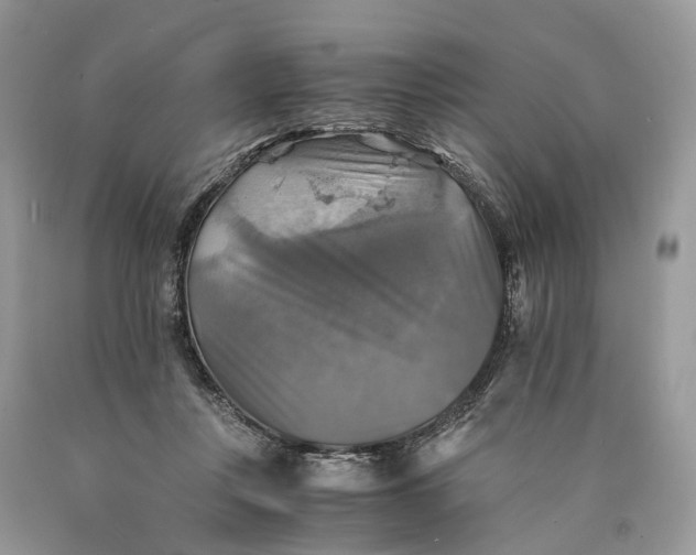 X0000089920359200707201823