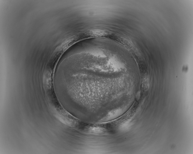 X0000089920360200707201823