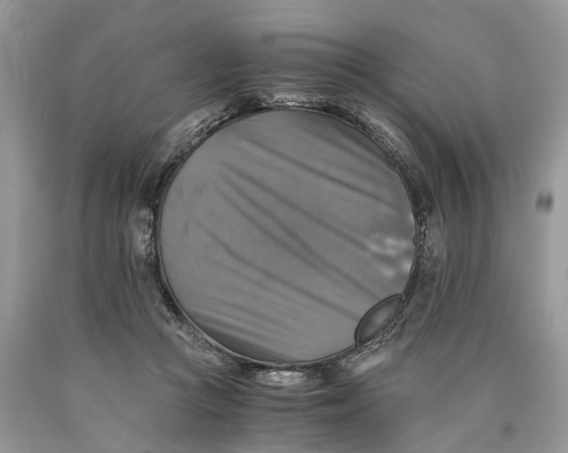 X0000089920361200707201823