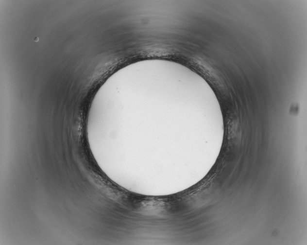 X0000089920362200707201823