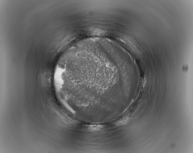 X0000089920363200707201823