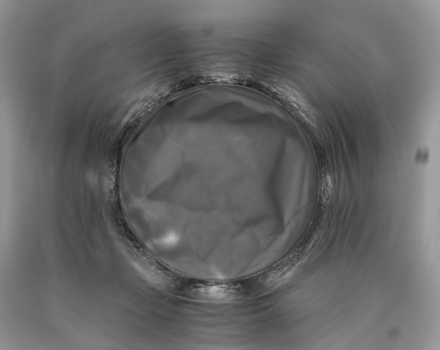 X0000089920365200707201823