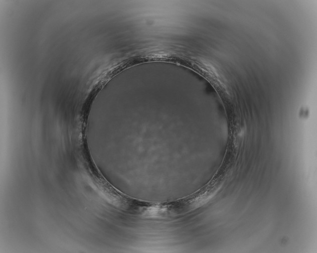 X0000089920366200707201823