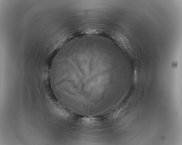 X0000089920367200707201823