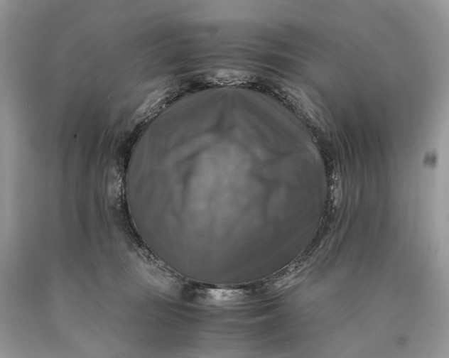 X0000089920371200707201823