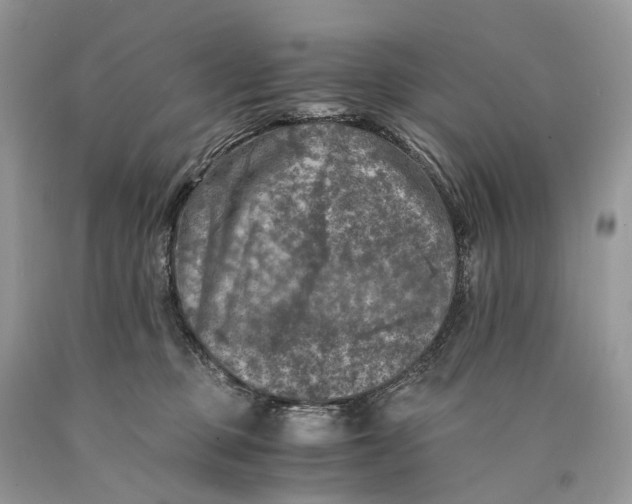 X0000089920373200707201823