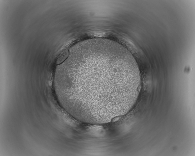 X0000089920374200707201823