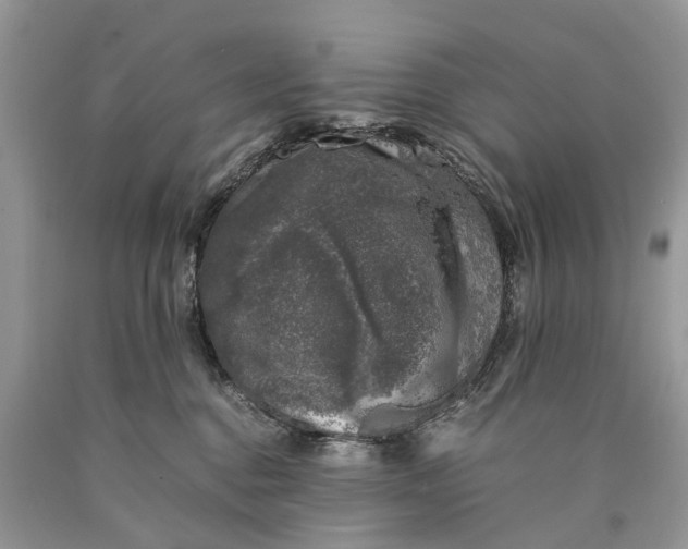 X0000089920376200707201823