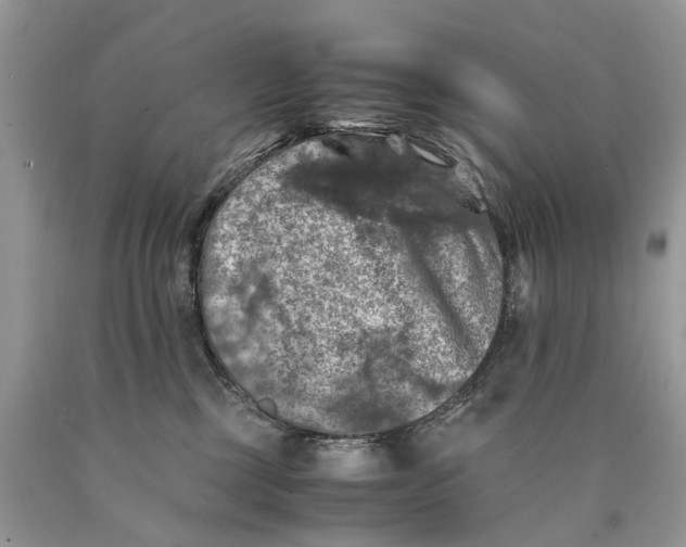 X0000089920377200707201823