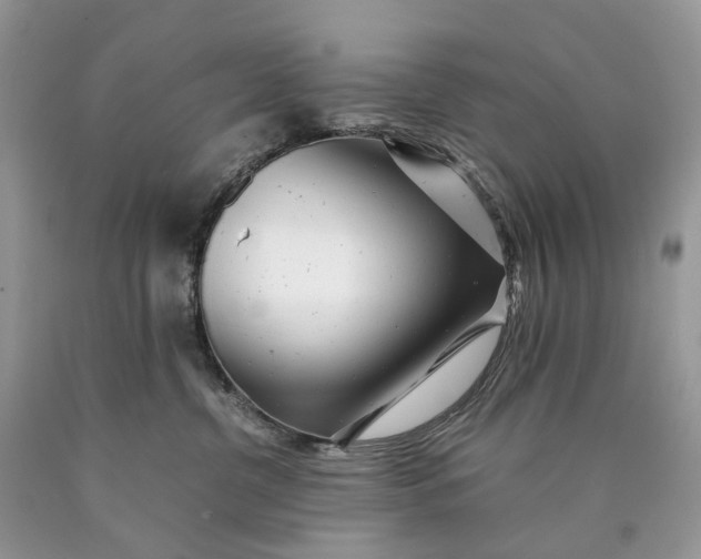 X0000089920380200707201823