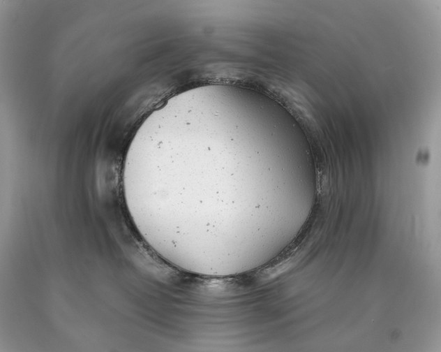 X0000089920382200707201823