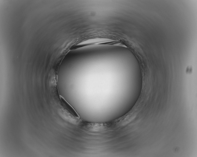 X0000089920384200707201823