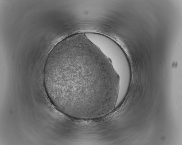 X0000089920385200707201823