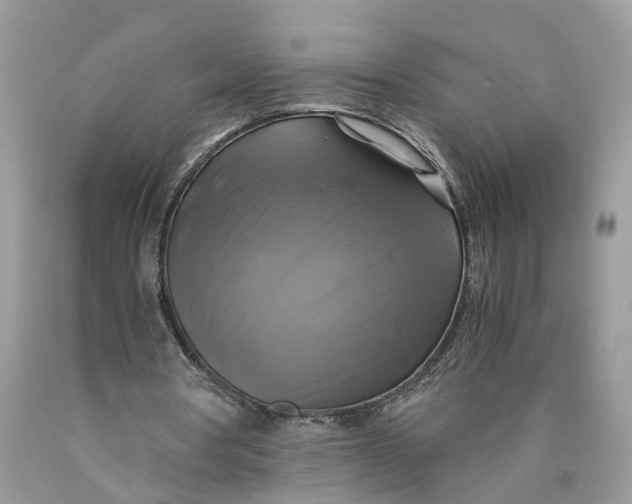 X0000089920386200707201823