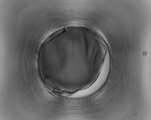 X0000089920387200707201823