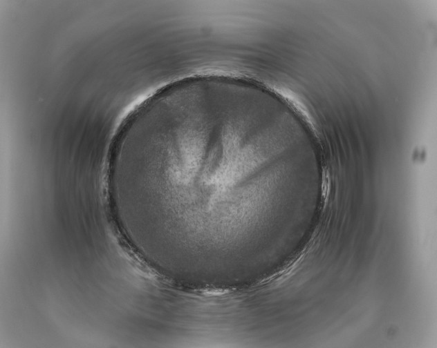 X0000089920388200707201823