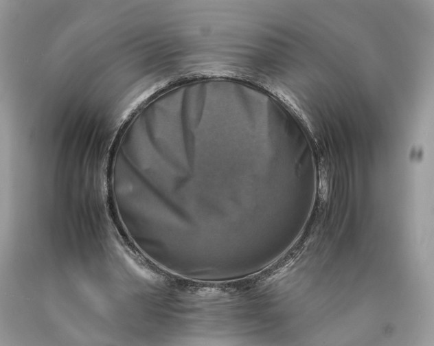 X0000089920390200707201823