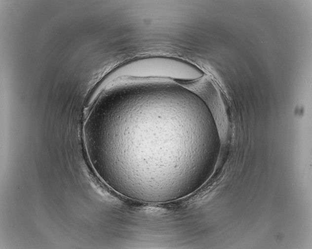 X0000089920393200707201823