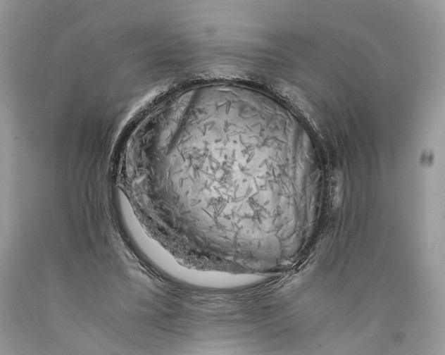 X0000089920395200707201823