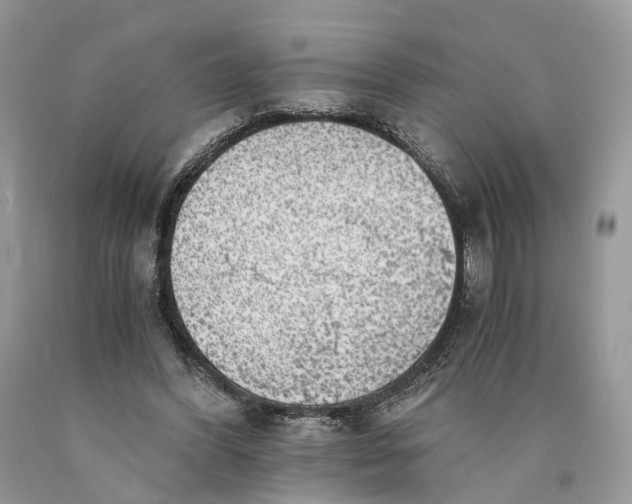 X0000089920396200707201823