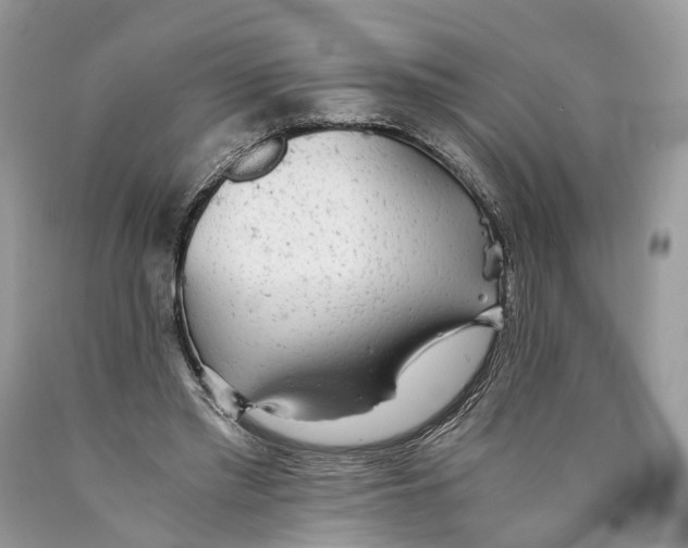 X0000089920397200707201823