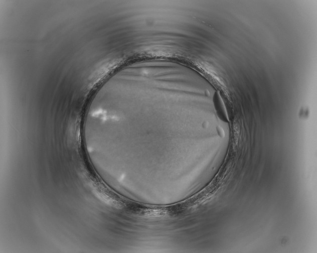 X0000089920398200707201823