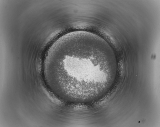 X0000089920400200707201823