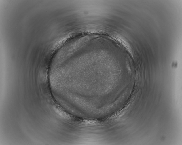 X0000089920401200707201822