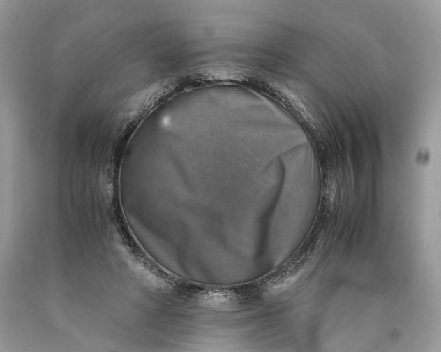 X0000089920402200707201822