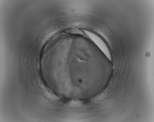 X0000089920403200707201822