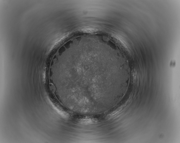 X0000089920404200707201822