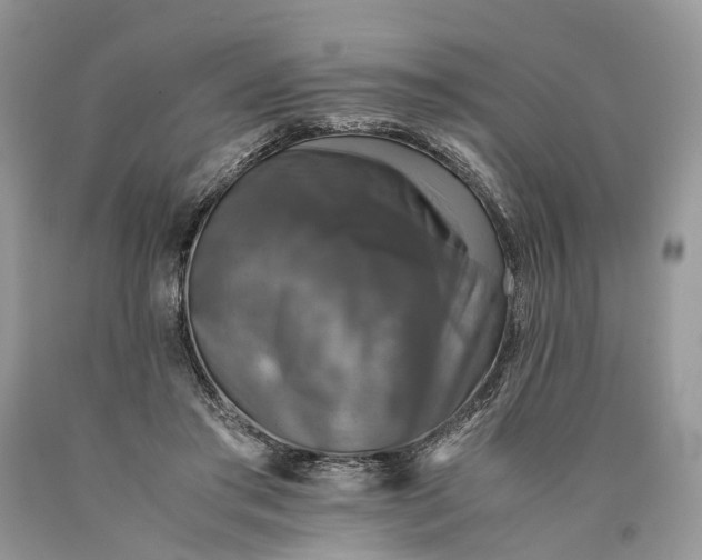 X0000089920405200707201822