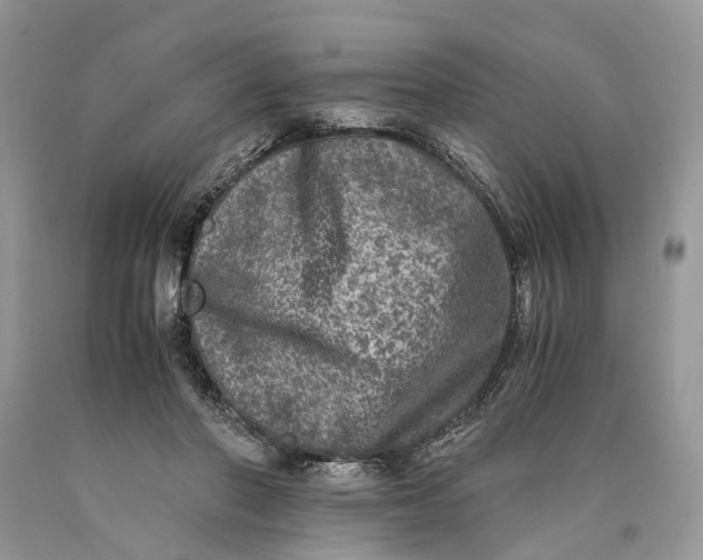 X0000089920406200707201822