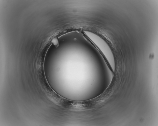 X0000089920407200707201822