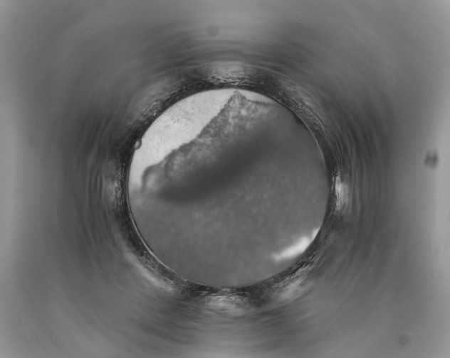 X0000089920408200707201822