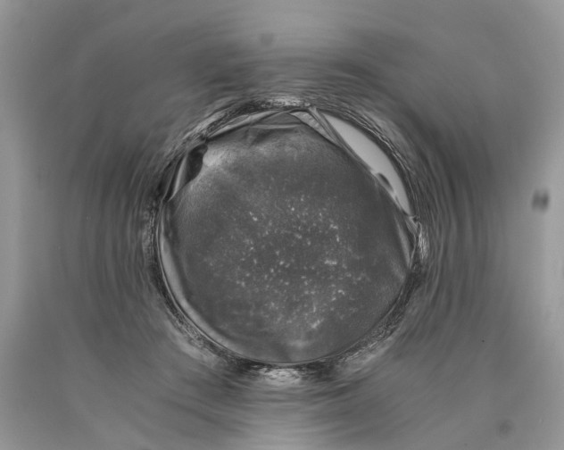 X0000089920409200707201822