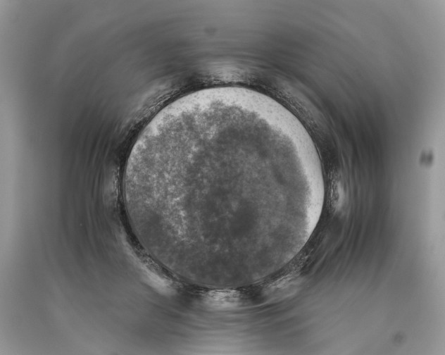 X0000089920410200707201822