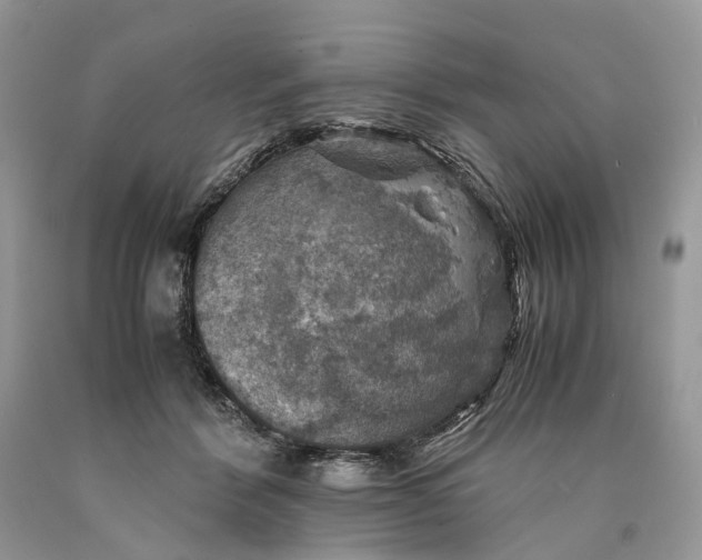 X0000089920412200707201822