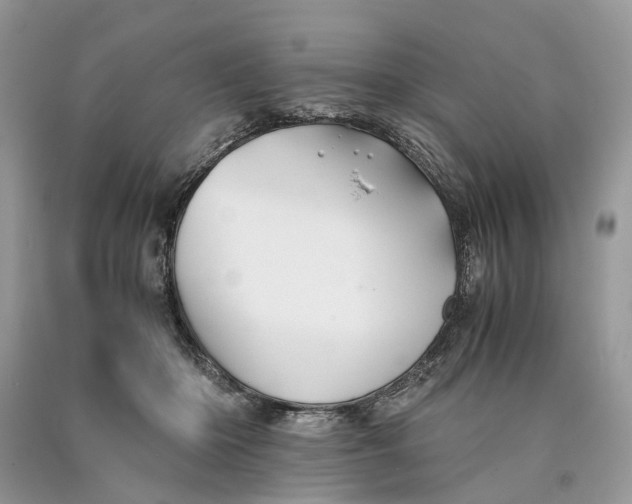 X0000089920414200707201822