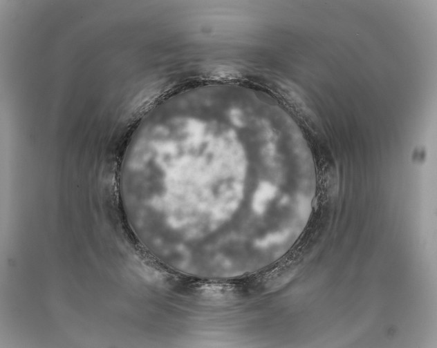 X0000089920415200707201822