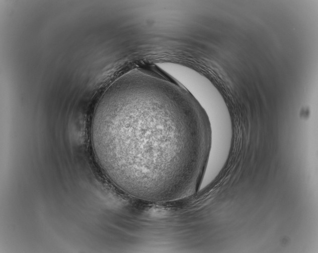 X0000089920416200707201822