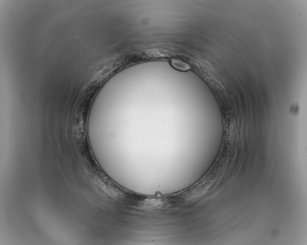 X0000089920418200707201822