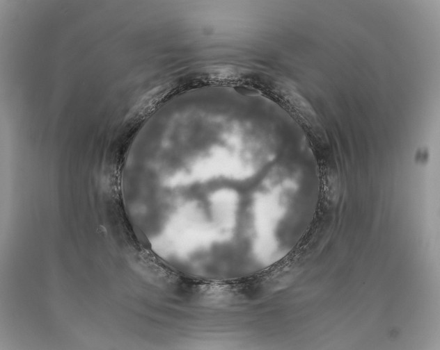 X0000089920419200707201822