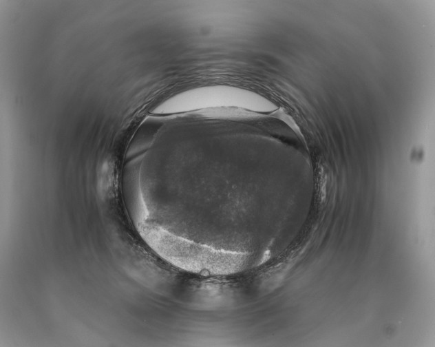 X0000089920420200707201822