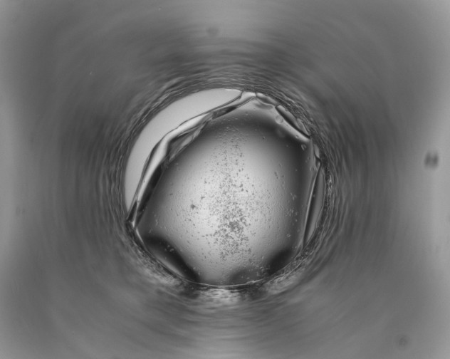 X0000089920421200707201822