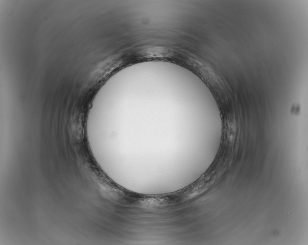 X0000089920422200707201822